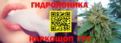 PSILOCYBIN Краснодар